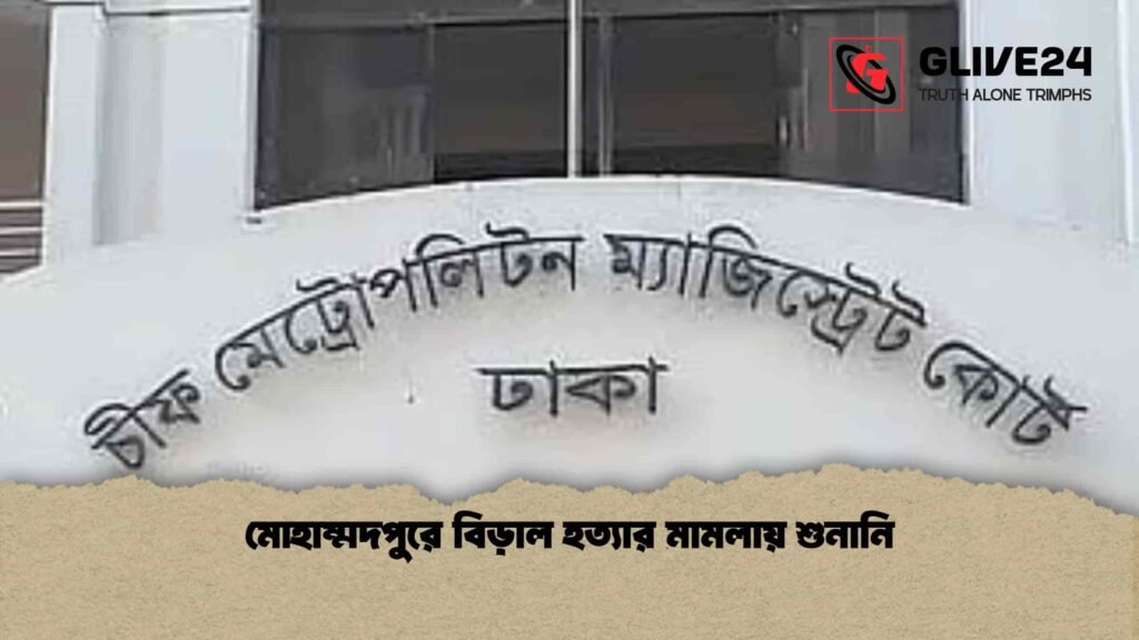 মোহাম্মদপুরে বিড়াল হত্যার মামলায় শুনানি মোহাম্মদপুরে বিড়াল হত্যার মামলায় শুনানি