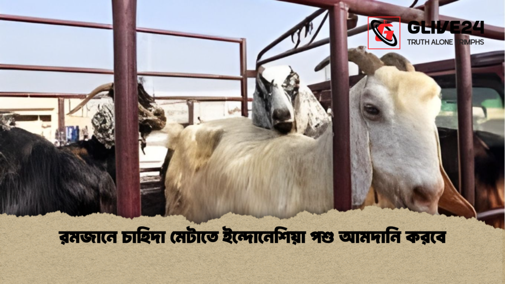 রমজানে চাহিদা মেটাতে ইন্দোনেশিয়া পশু আমদানি করবে রমজানে চাহিদা মেটাতে ইন্দোনেশিয়া পশু আমদানি করবে
