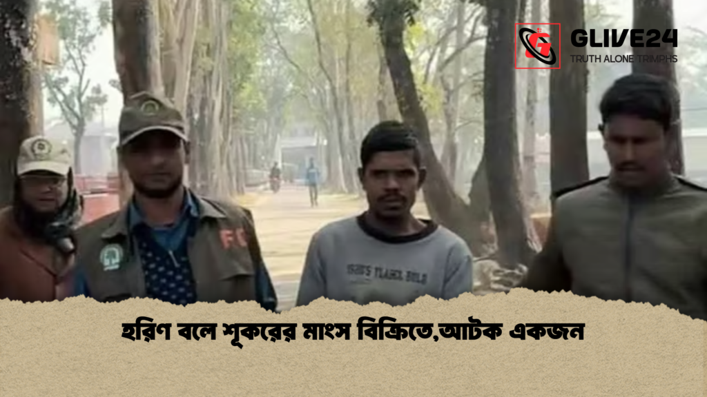 হরিণ বলে শূকরের মাংস বিক্রিতেআটক একজন হরিণ বলে শূকরের মাংস বিক্রিতে,আটক একজন