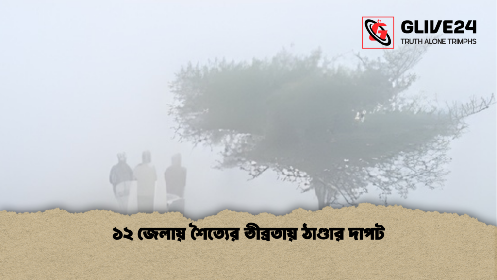 ১২ জেলায় শৈত্যের তীব্রতায় ঠাণ্ডার দাপট 2 ১২ জেলায় শৈত্যের তীব্রতায় ঠাণ্ডার দাপট 1 ১২ জেলায় শৈত্যের তীব্রতায় ঠাণ্ডার দাপট