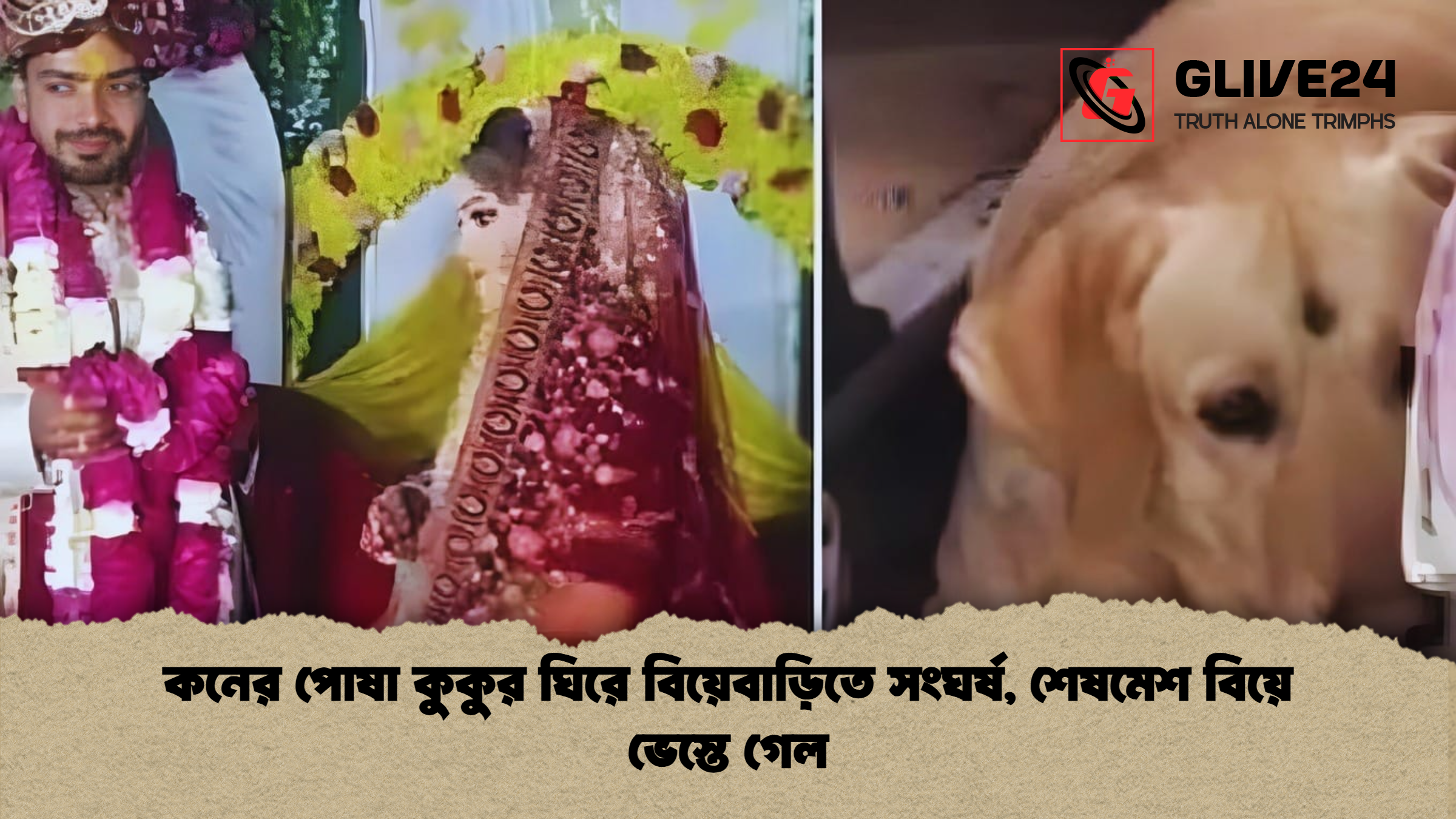 কনের পোষা কুকুর ঘিরে বিয়েবাড়িতে সংঘর্ষ, শেষমেশ বিয়ে ভেস্তে গেল