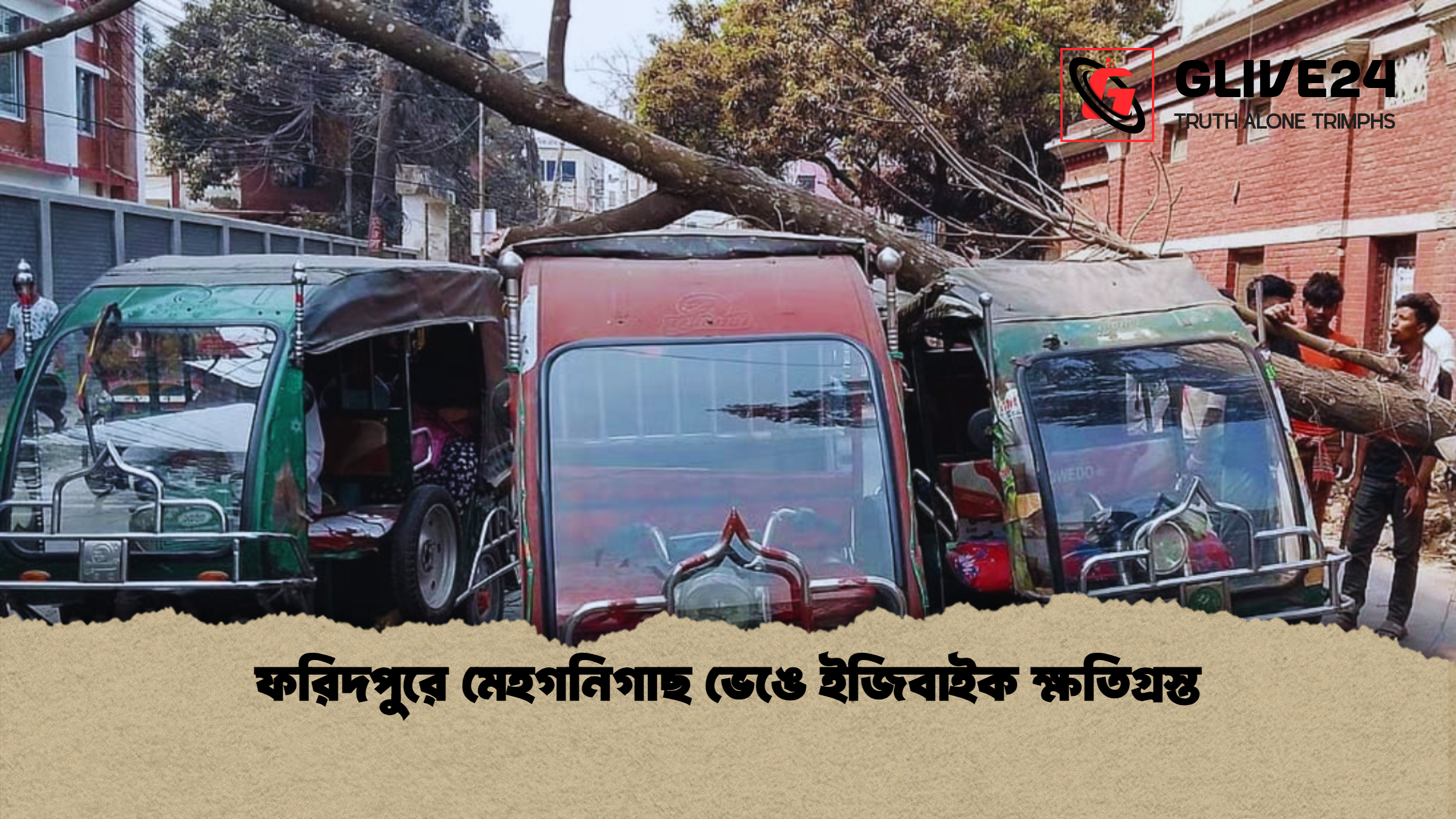 ফরিদপুরে মেহগনিগাছ ভেঙে ইজিবাইক ক্ষতিগ্রস্ত