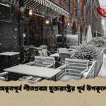 অভূতপূর্ব শীতপ্রবাহ যুক্তরাষ্ট্রের পূর্ব উপকূলে