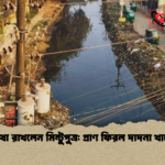 কথা রাখলেন মিন্টুপুত্র প্রাণ ফিরল দাদনা খালে কথা রাখলেন মিন্টুপুত্র: প্রাণ ফিরল দাদনা খালে