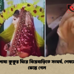 কনের পোষা কুকুর ঘিরে বিয়েবাড়িতে সংঘর্ষ শেষমেশ বিয়ে ভেস্তে গেল কনের পোষা কুকুর ঘিরে বিয়েবাড়িতে সংঘর্ষ, শেষমেশ বিয়ে ভেস্তে গেল