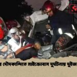 কুমিল্লার দৌদকান্দিতে মাইক্রোবাস দুর্ঘটনায় দুইজন নিহত