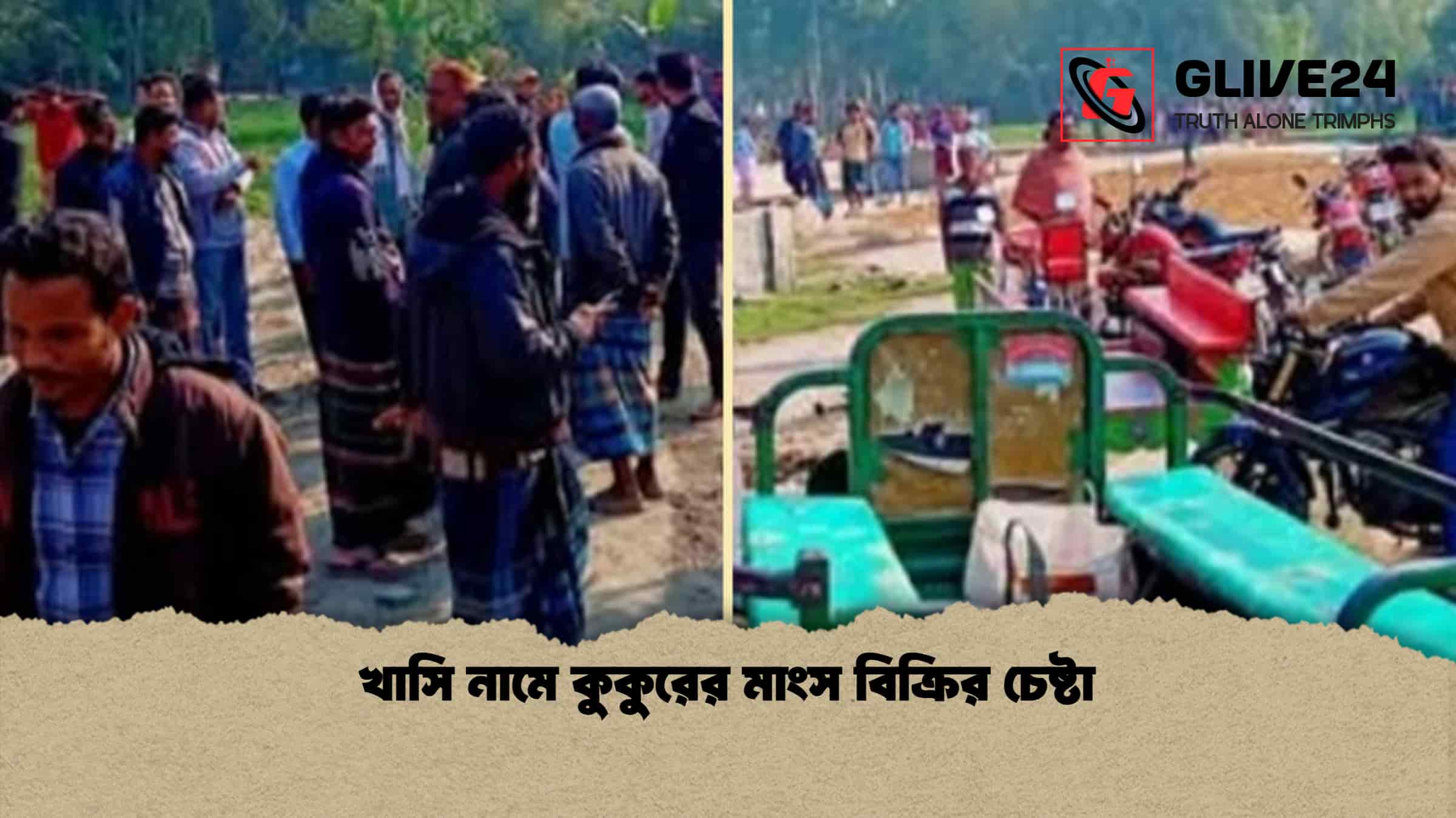 খাসি নামে কুকুরের মাংস বিক্রির চেষ্টা