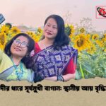 চেঙ্গি নদীর ধারে সূর্যমুখী বাগান স্থানীয় আয় বৃদ্ধির উৎস