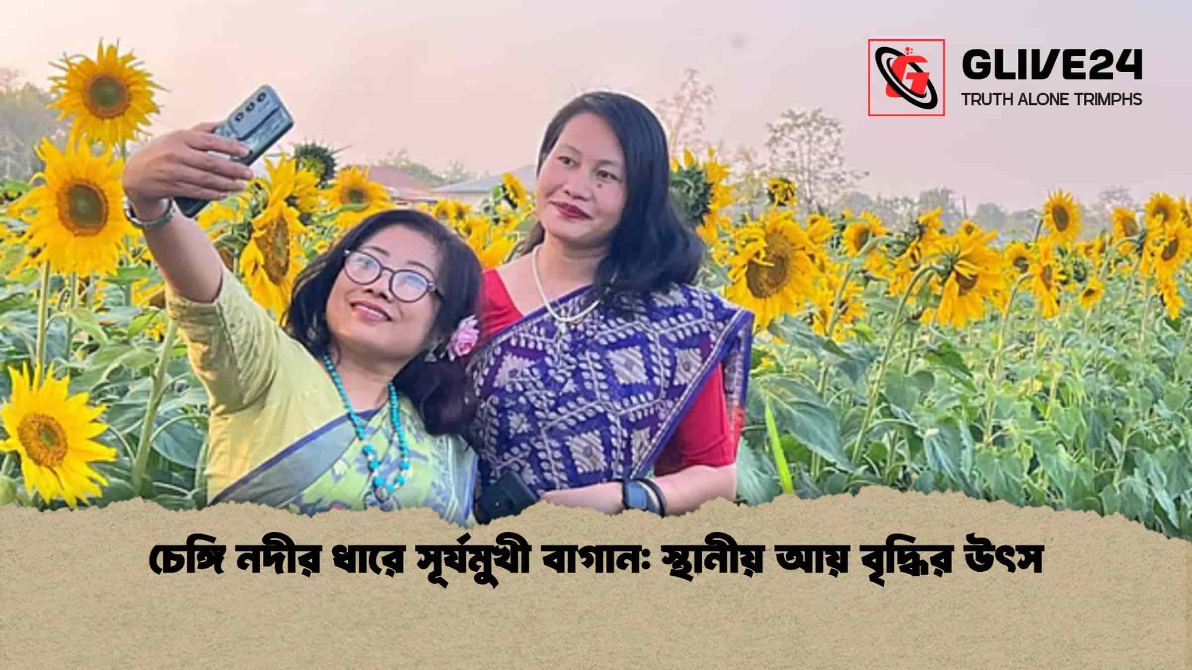 চেঙ্গি নদীর ধারে সূর্যমুখী বাগান স্থানীয় আয় বৃদ্ধির উৎস