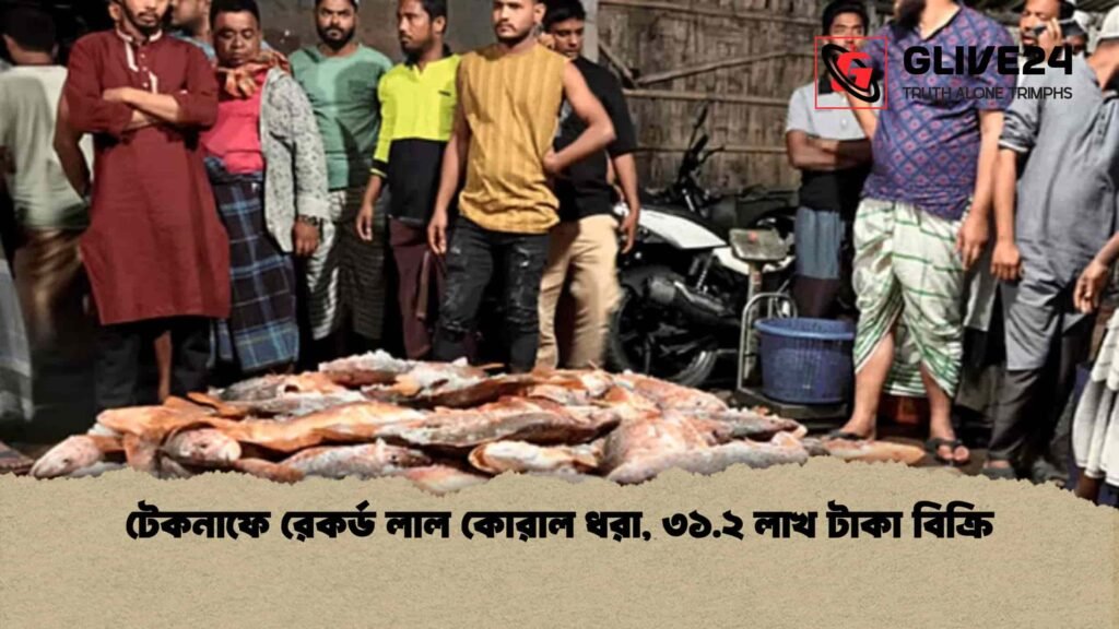 টেকনাফে রেকর্ড লাল কোরাল ধরা, ৩১.২ লাখ টাকা বিক্রি