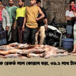 টেকনাফে রেকর্ড লাল কোরাল ধরা, ৩১.২ লাখ টাকা বিক্রি