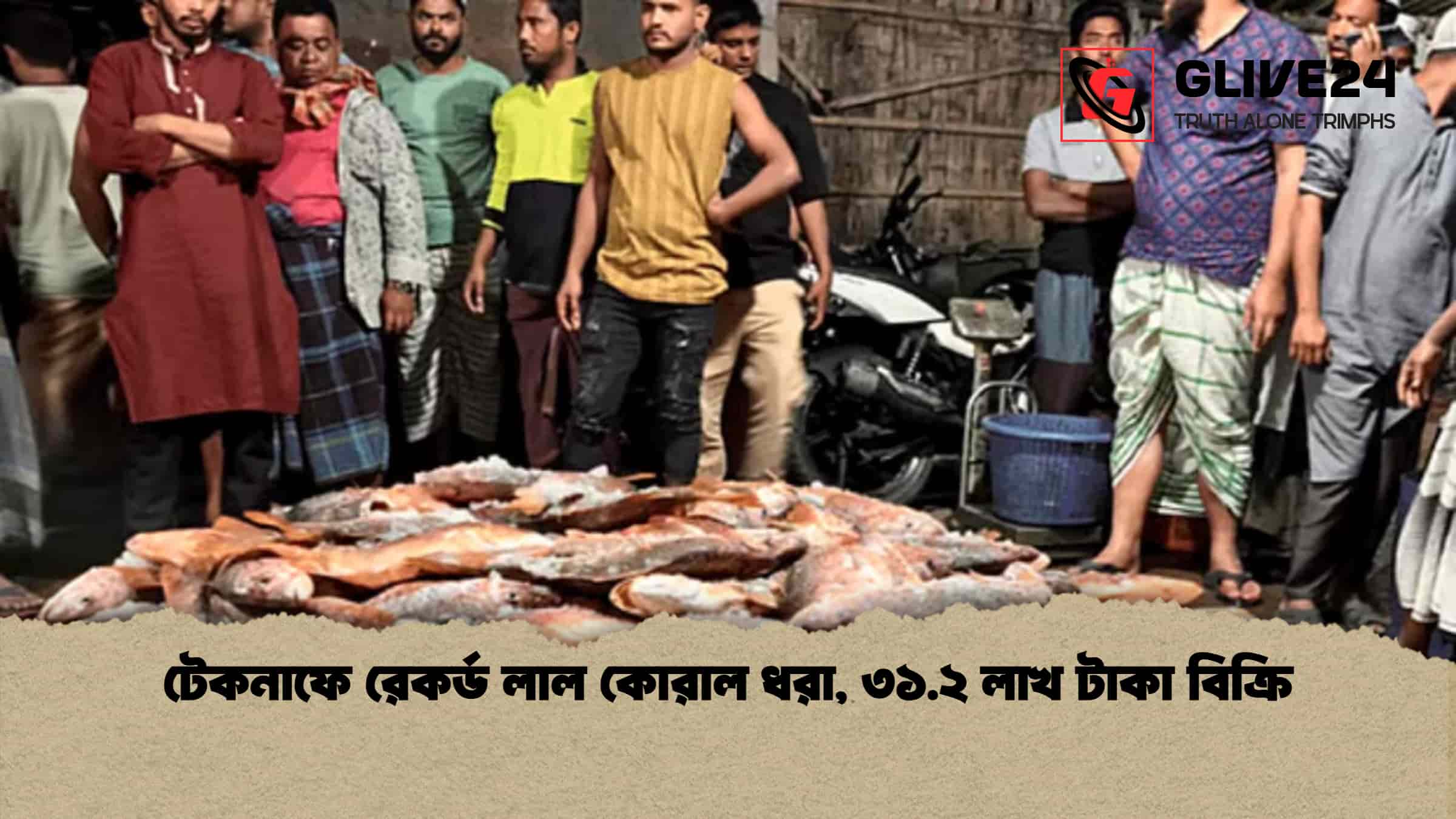 টেকনাফে রেকর্ড লাল কোরাল ধরা, ৩১.২ লাখ টাকা বিক্রি 1 টেকনাফে রেকর্ড লাল কোরাল ধরা, ৩১.২ লাখ টাকা বিক্রি