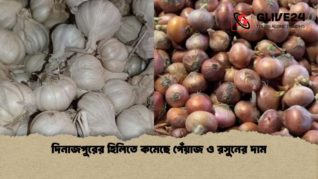 দিনাজপুরের হিলিতে কমেছে পেঁয়াজ ও রসুনের দাম দিনাজপুরের হিলিতে কমেছে পেঁয়াজ ও রসুনের দাম
