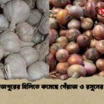 দিনাজপুরের হিলিতে কমেছে পেঁয়াজ ও রসুনের দাম দিনাজপুরের হিলিতে কমেছে পেঁয়াজ ও রসুনের দাম