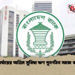 দুই পর্যায়ের অগ্রিম সুবিধা ঋণ পুনর্গঠন সহজ করবে