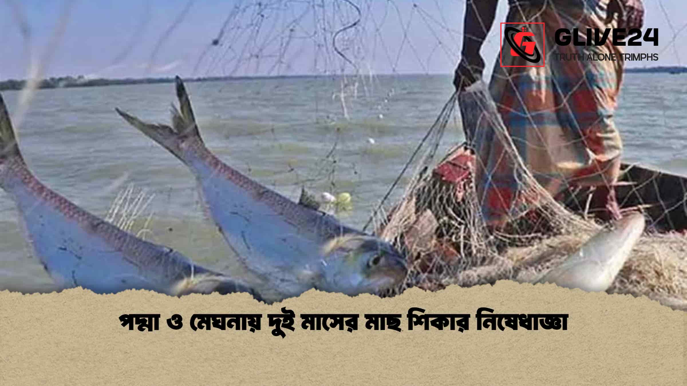 পদ্মা ও মেঘনায় দুই মাসের মাছ শিকার নিষেধাজ্ঞা
