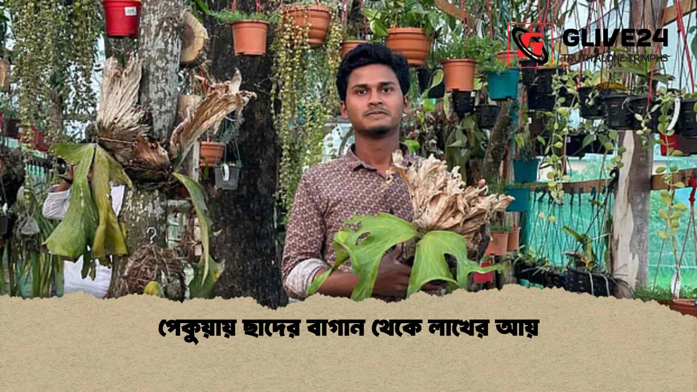 পেকুয়ায় ছাদের বাগান থেকে লাখের আয়