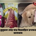 পোষ্য কুকুরকে কেন্দ্র করে বিয়েবাড়িতে রণক্ষেত্র জয়ী ভালোবাসা 1 পোষ্য কুকুরকে কেন্দ্র করে বিয়েবাড়িতে রণক্ষেত্র: জয়ী ভালোবাসা