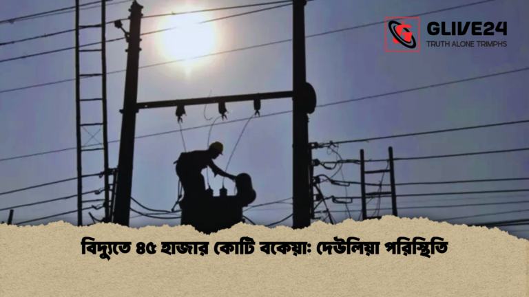 বিদ্যুতে ৪৫ হাজার কোটি বকেয়া দেউলিয়া পরিস্থিতি বিদ্যুতে ৪৫ হাজার কোটি বকেয়া: দেউলিয়া পরিস্থিতি