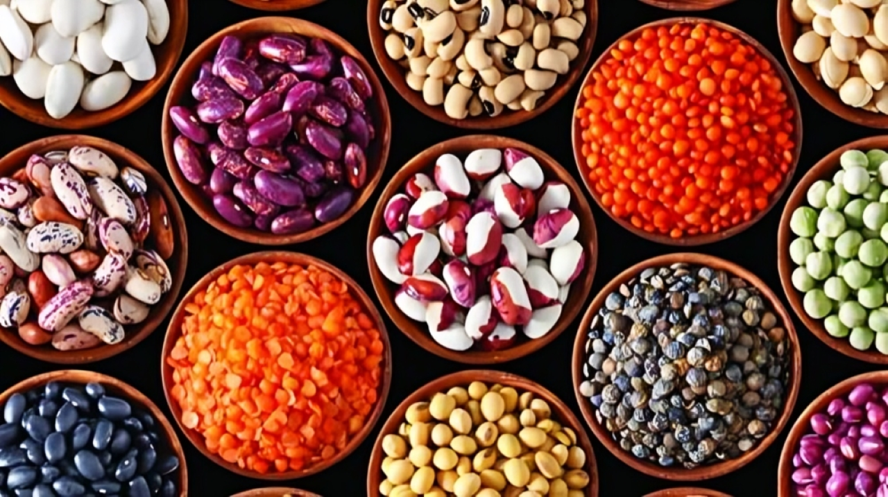 বীজ সার্বভৌমত্ব