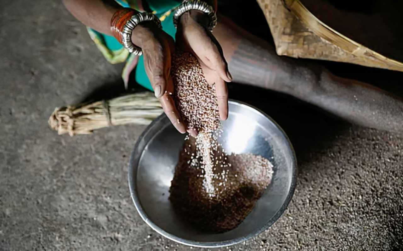 বীজ সার্বভৌমত্ব