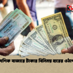 বৈদেশিক বাজারে টাকার বিনিময় হারের ওঠাপড়া বৈদেশিক বাজারে টাকার বিনিময় হারের ওঠাপড়া