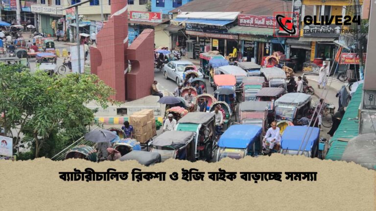 ব্যাটারীচালিত রিকশা ও ইজি বাইক বাড়াচ্ছে সমস্যা