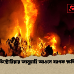 ভিক্টোরিয়ার জানুয়ারি আগুনে ব্যাপক ক্ষতি ভিক্টোরিয়ার জানুয়ারি আগুনে ব্যাপক ক্ষতি
