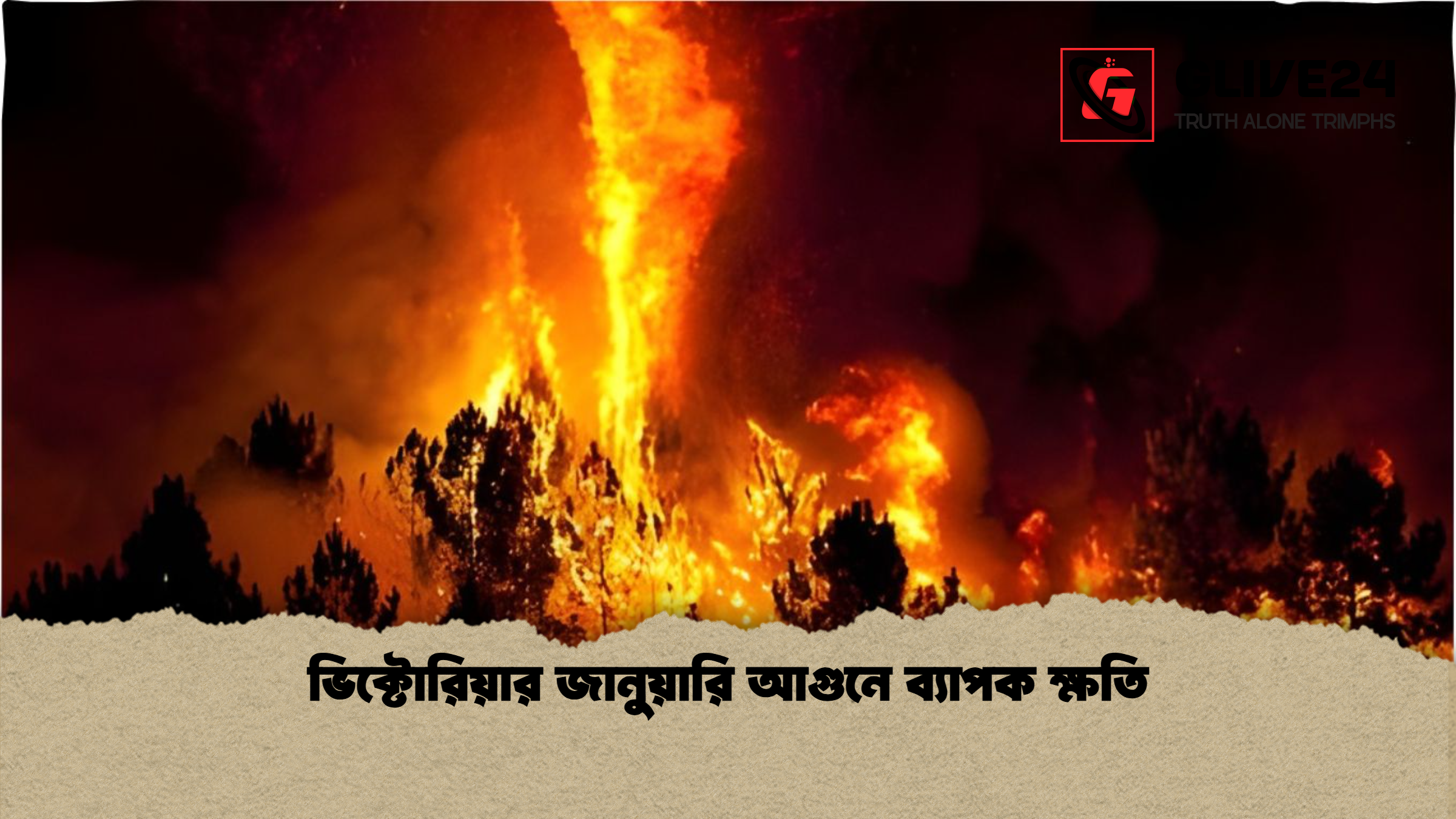 ভিক্টোরিয়ার জানুয়ারি আগুনে ব্যাপক ক্ষতি ভিক্টোরিয়ার জানুয়ারি আগুনে ব্যাপক ক্ষতি