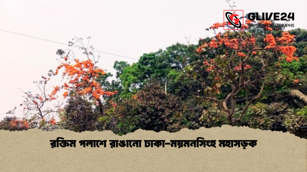 রক্তিম পলাশে রাঙানো ঢাকা ময়মনসিংহ মহাসড়ক রক্তিম পলাশে রাঙানো ঢাকা-ময়মনসিংহ মহাসড়ক