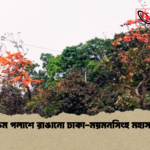 রক্তিম পলাশে রাঙানো ঢাকা ময়মনসিংহ মহাসড়ক রক্তিম পলাশে রাঙানো ঢাকা-ময়মনসিংহ মহাসড়ক