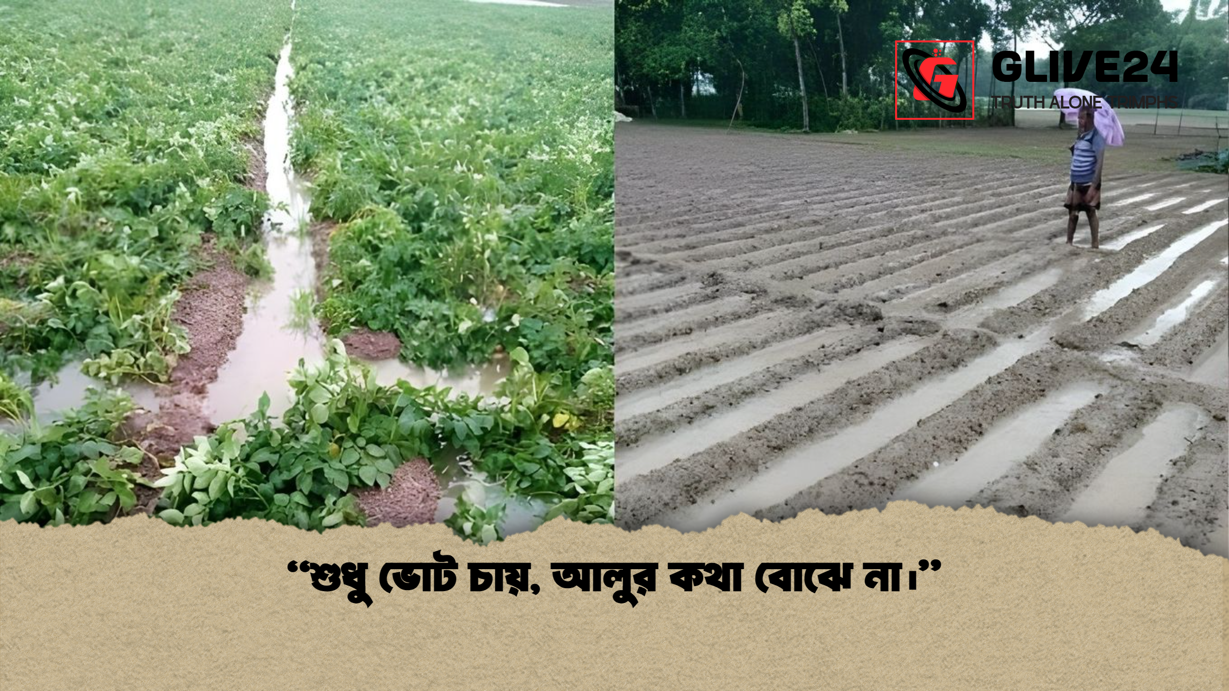 শুধু ভোট চায় আলুর কথা বোঝে না। “শুধু ভোট চায়, আলুর কথা বোঝে না।”