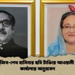 শেখ মুজিব-শেখ হাসিনার ছবি টাঙিয়ে আওয়ামী লীগের কার্যালয়ে অনুপ্রবেশ
