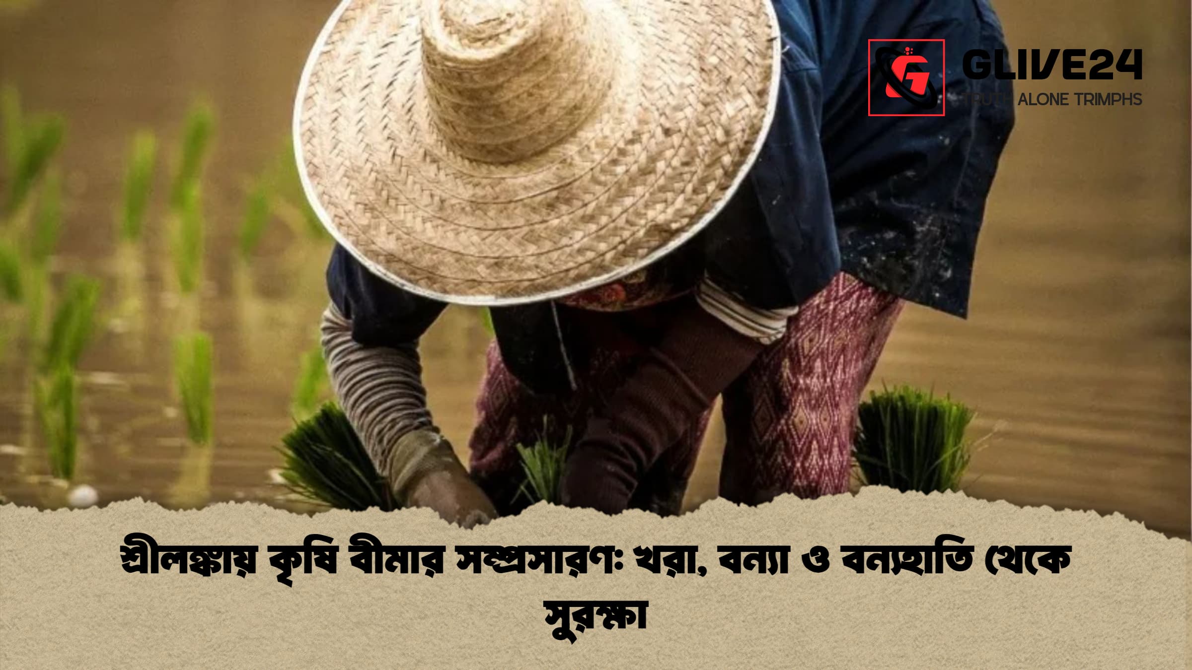 শ্রীলঙ্কায় কৃষি বীমার সম্প্রসারণ খরা বন্যা ও বন্যহাতি থেকে সুরক্ষা শ্রীলঙ্কায় কৃষি বীমার সম্প্রসারণ: খরা, বন্যা ও বন্যহাতি থেকে সুরক্ষা
