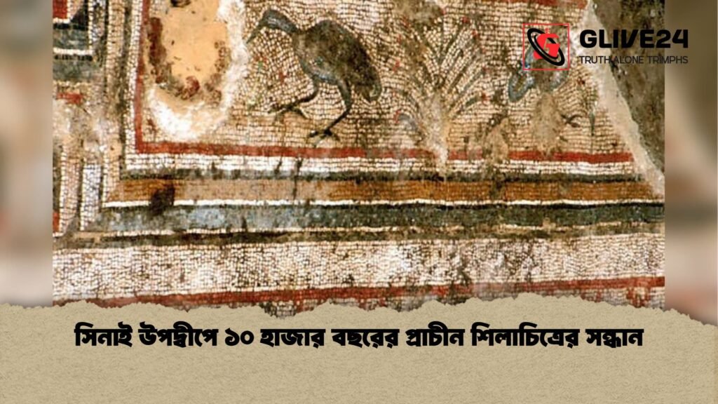 সিনাই উপদ্বীপে ১০ হাজার বছরের প্রাচীন শিলাচিত্রের সন্ধান সিনাই উপদ্বীপে ১০ হাজার বছরের প্রাচীন শিলাচিত্রের সন্ধান
