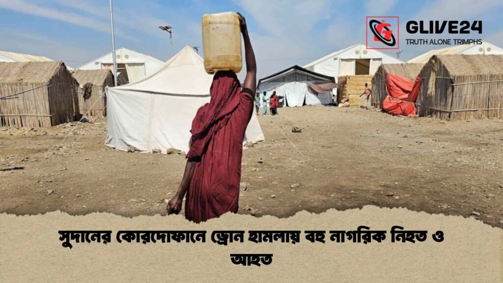সুদানের কোরদোফানে ড্রোন হামলায় বহু নাগরিক নিহত ও আহত