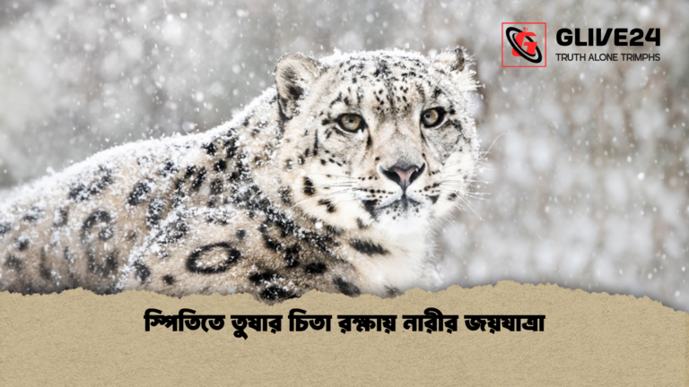 স্পিতিতে তুষার চিতা রক্ষায় নারীর জয়যাত্রা স্পিতিতে তুষার চিতা রক্ষায় নারীর জয়যাত্রা