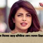 হিন্দি সিনেমা ছেড়ে হলিউডে কেন গেলেন প্রিয়াংকা হিন্দি সিনেমা ছেড়ে হলিউডে কেন গেলেন প্রিয়াংকা