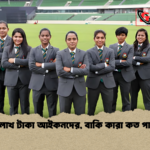 ১০ লাখ টাকা আইকনদের বাকি কারা কত পাবে ১০ লাখ টাকা আইকনদের, বাকি কারা কত পাবে?