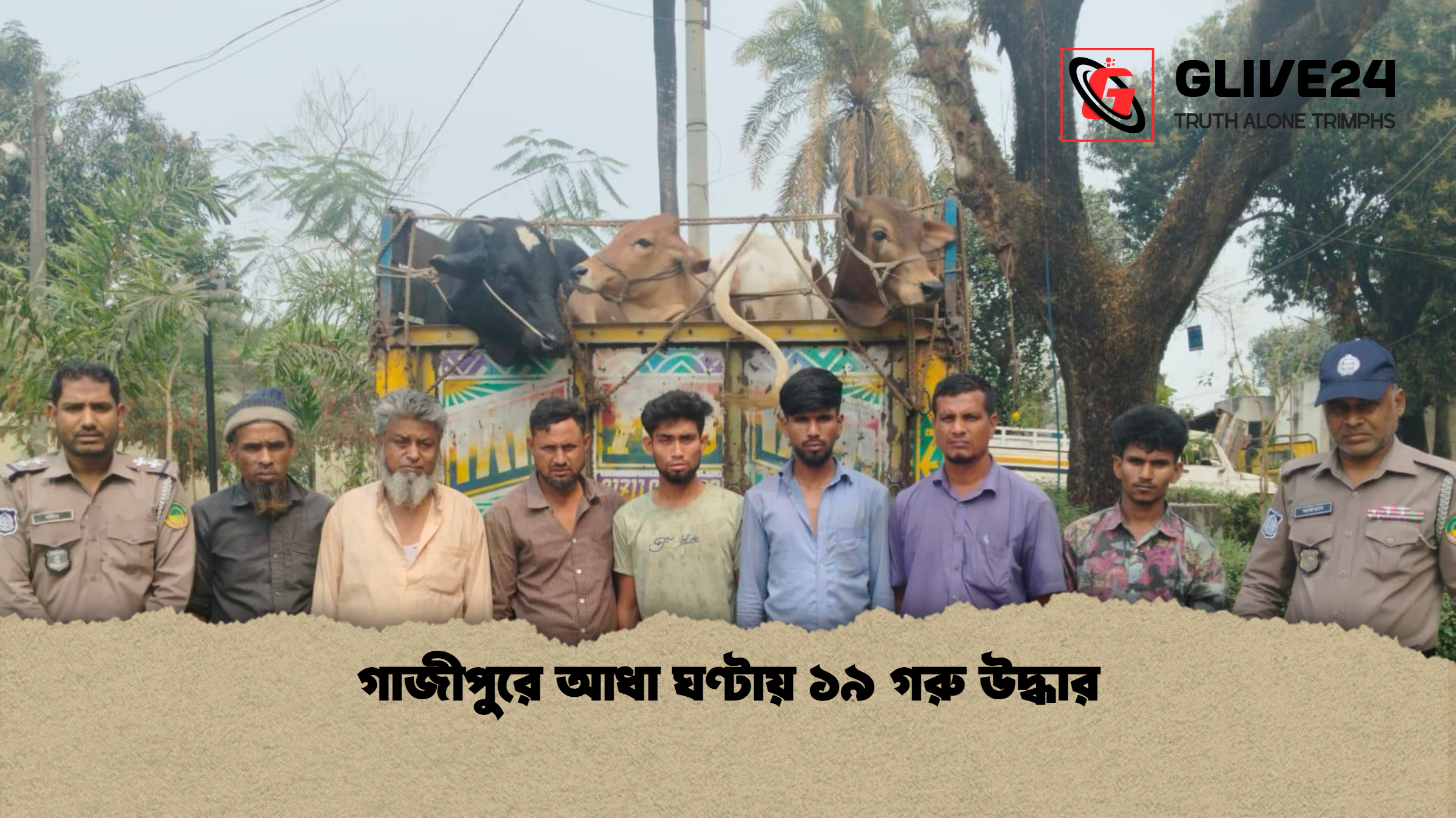 গাজীপুরে আধা ঘণ্টায় ১৯ গরু উদ্ধার