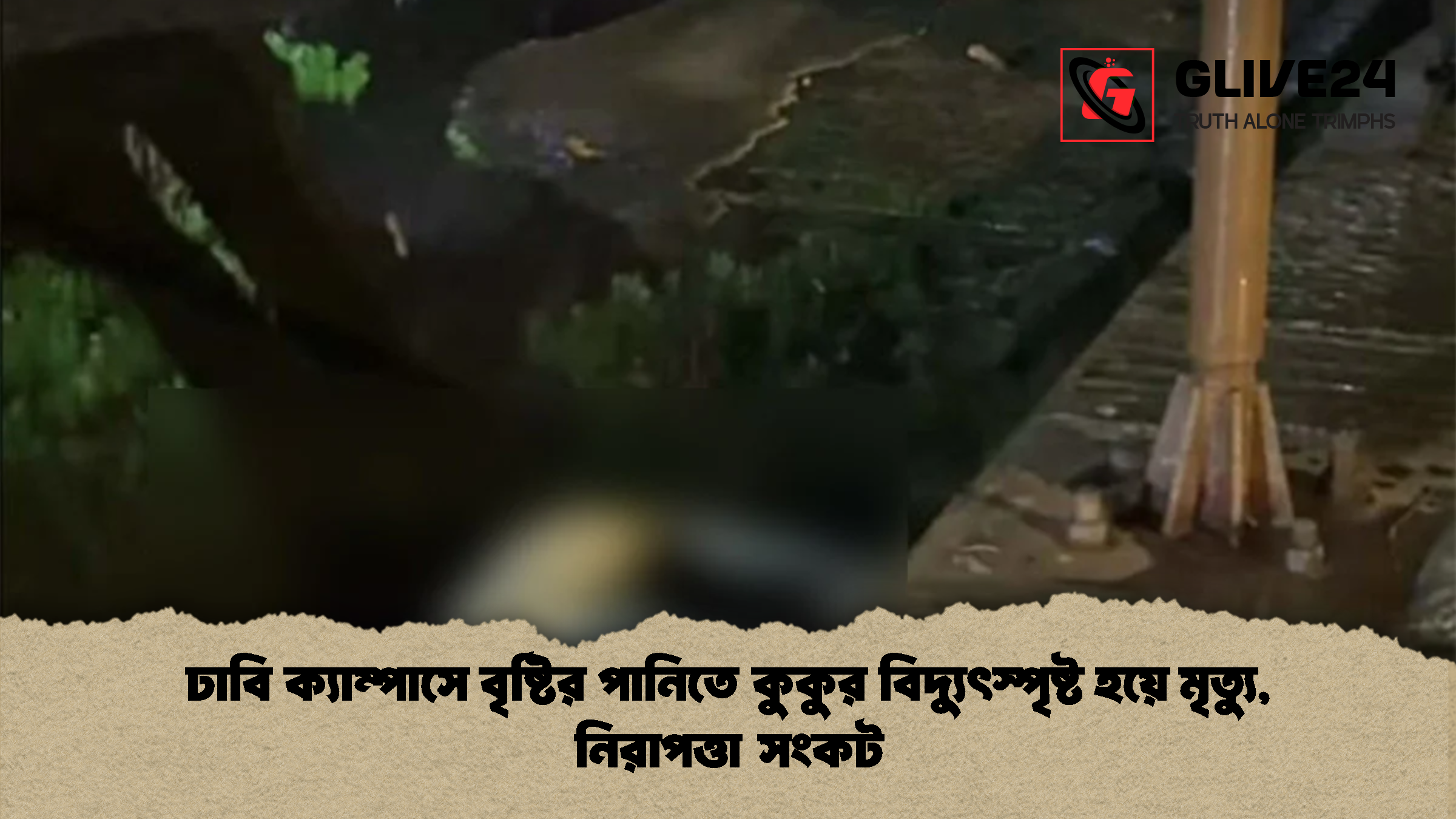 ঢাবি ক্যাম্পাসে বৃষ্টির পানিতে কুকুর বিদ্যুৎস্পৃষ্ট হয়ে মৃত্যু, নিরাপত্তা সংকট