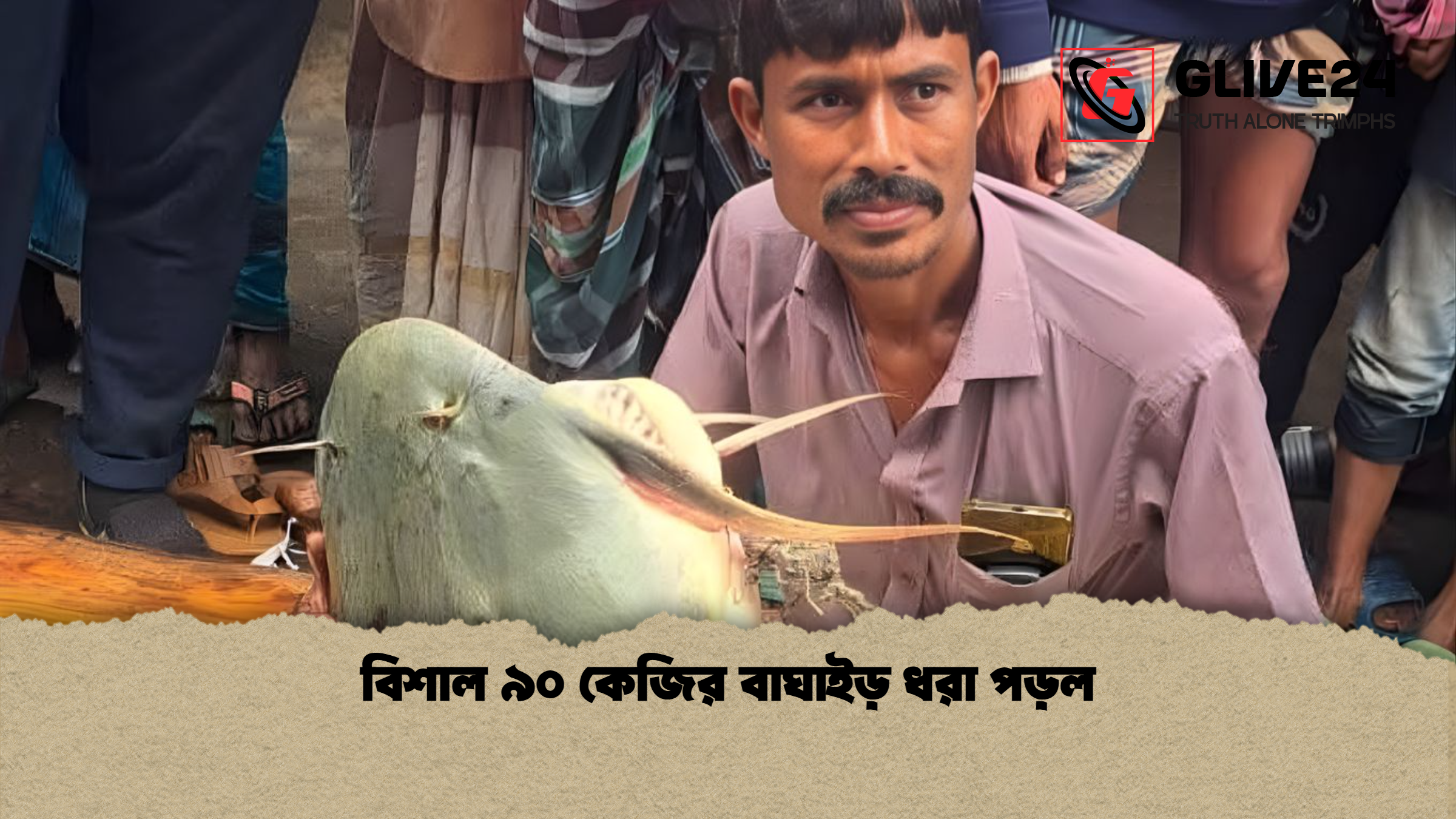 বিশাল ৯০ কেজির বাঘাইড় ধরা পড়ল