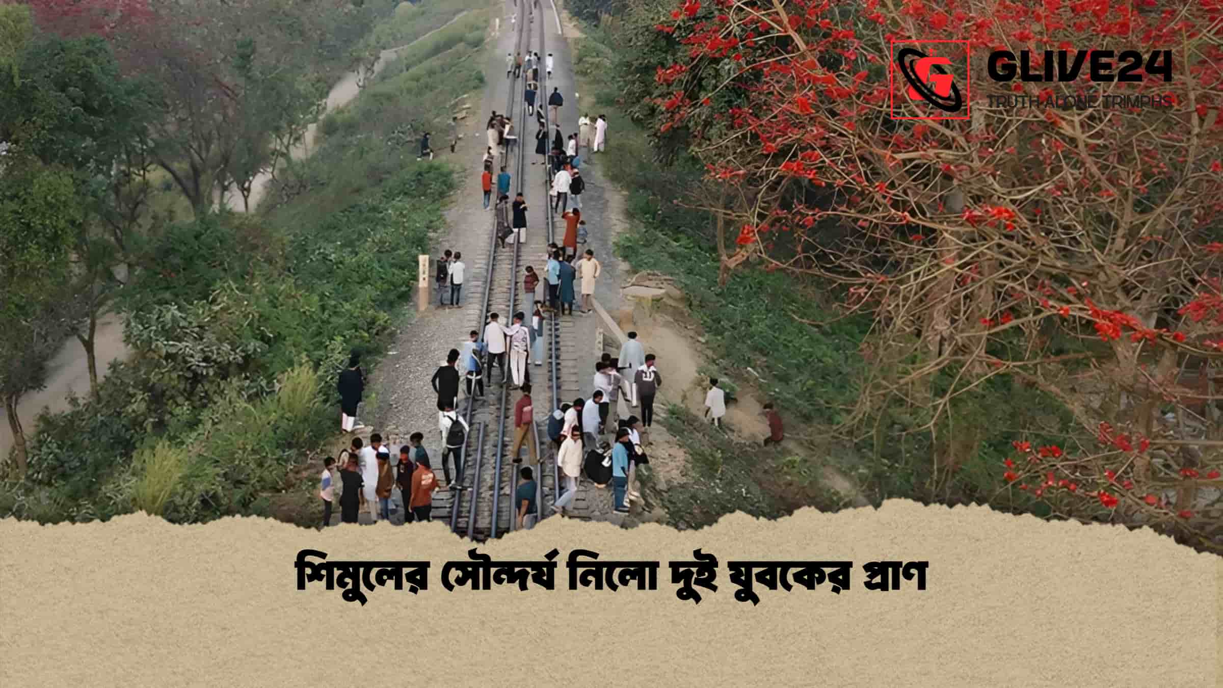 শিমুলের সৌন্দর্য নিলো দুই যুবকের প্রাণ