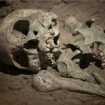 Human Skeleton Found in Garbage Dump in Gazipur Area গাজীপুরে ময়লার স্তূপে মানব কঙ্কাল উদ্ধার, তদন্তে জোর তৎপরতা শুরু