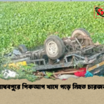 news thumbnail 1774167779699 মাধবপুরে পিকআপ খাদে পড়ে নিহত চারজন