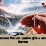 আইসল্যান্ডের বীমা খাত প্রাকৃতিক ঝুঁকি ও সামাজিক নিরাপত্তা