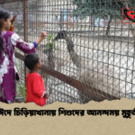 ঈদে চিড়িয়াখানায় শিশুদের আনন্দময় মুহূর্ত ঈদে চিড়িয়াখানায় শিশুদের আনন্দময় মুহূর্ত