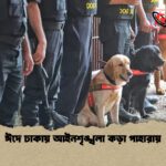 ঈদে ঢাকায় আইনশৃঙ্খলা কড়া পাহারায়