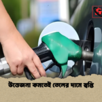 উত্তেজনা কমতেই তেলের দামে স্বস্তি উত্তেজনা কমতেই তেলের দামে স্বস্তি