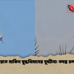কুয়েতে মার্কিন যুদ্ধবিমানের দুর্ঘটনা তদন্ত চলছে কুয়েতে মার্কিন যুদ্ধবিমানের দুর্ঘটনা: তদন্ত চলছে
